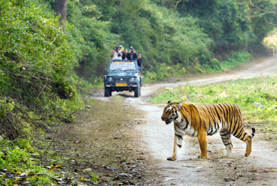 Jim Corbett with Nainital Tour